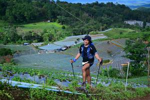 BIB: 8359
                            <button type="button" onclick="openModal(13380137)" class="btn btn-primary btn-sm float-right btn-popup" data-toggle="modal" data-target=".modal-high-quality">
                        <i class="fas fa-shopping-cart"></i> Add to Cart
                    </button>
                                            <button type="button" onclick="isThisMe(13380137, true)" class="btn btn-success btn-sm float-right btn-popup btn-isme hidden" data-toggle="tooltip" data-placement="bottom" title="นี่คือรูปของคุณใช่ไหม คลิกที่นี่เพื่อเอาเข้าอัลบั้ม">
                        <i class="fas fa-plus"></i> Add to album
                    </button>
                    <button type="button" onclick="isThisMe(13380137, false)" class="btn btn-warning btn-sm float-right btn-popup btn-isnotme hidden">
                        <i class="fas fa-ban"></i> Remove from album
                    </button>